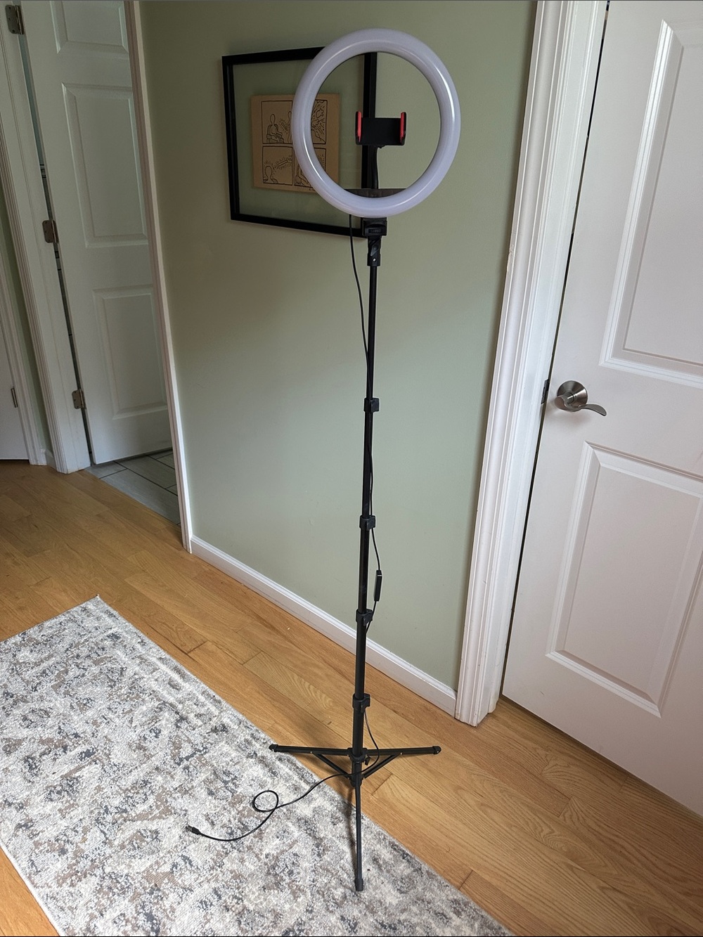 10” LED Ring Light with Phone Mount on Adjustable Tripod - White & Black